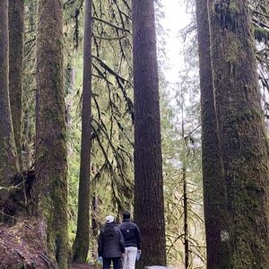 Meet your Posher, Manika